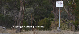 camping repulse dam tasmania