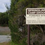 camping springlawn narawntapu national park