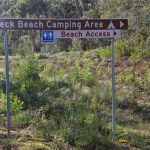 the neck camping bruny island