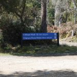 free camping cockle creek